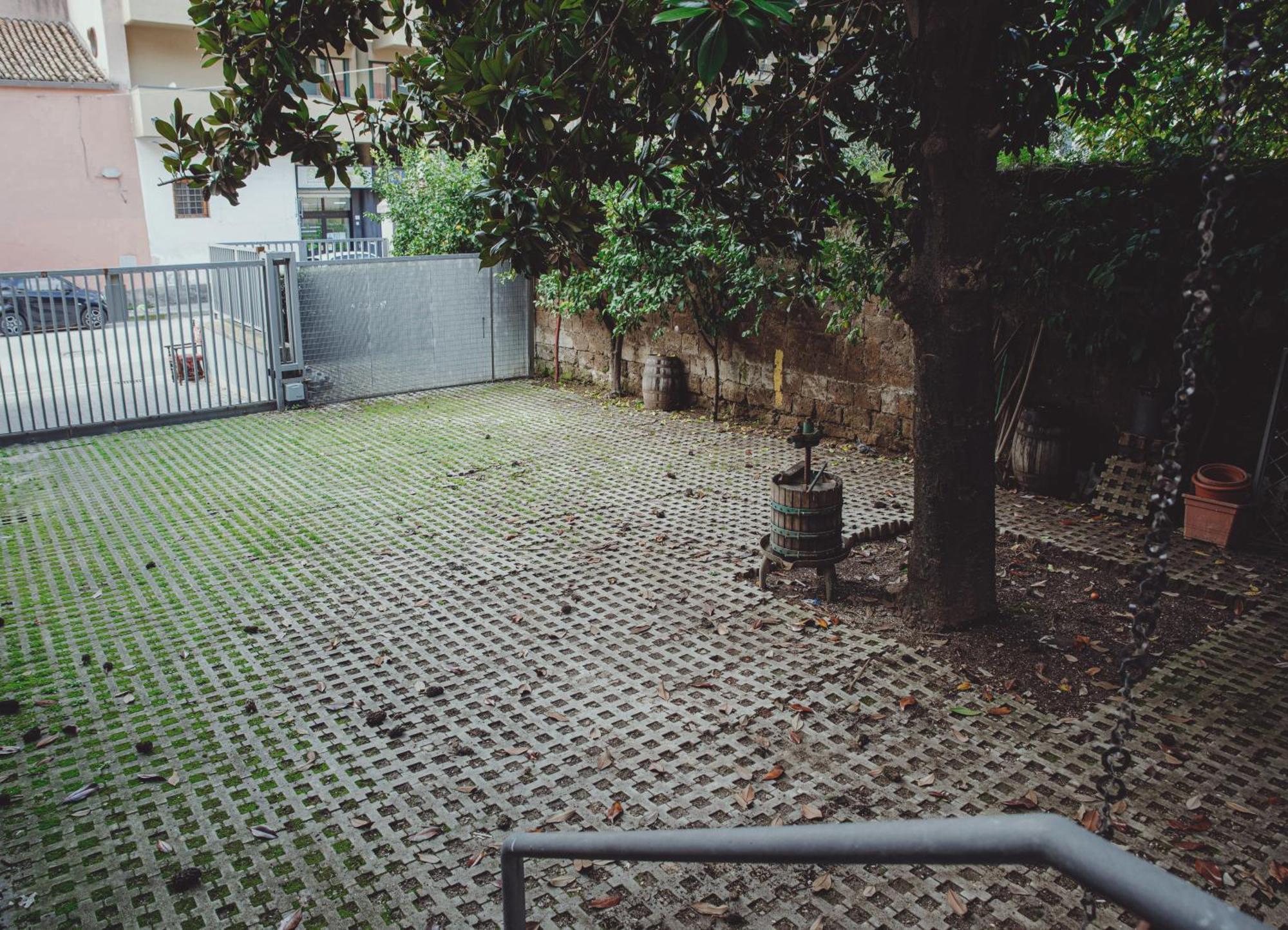 Apartment Royal Palace *